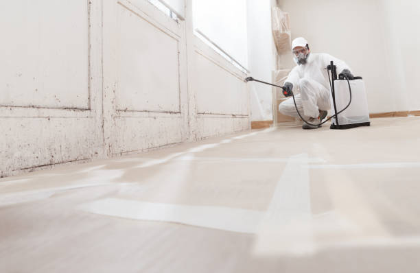 24/7 Emergency Mold Testing experts in Bealeton, VA