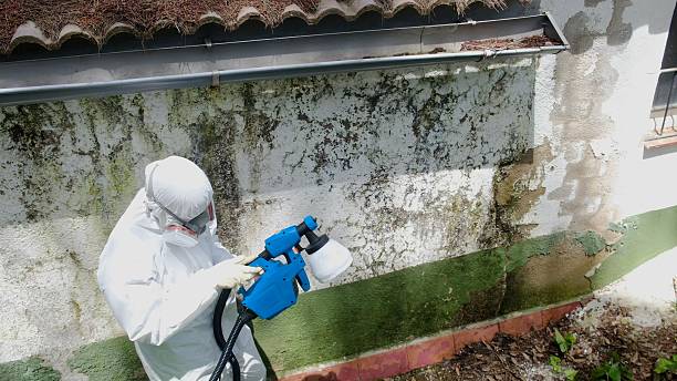 Trusted Bathroom Mold Removal service in Bealeton, VA - Cheap Mold Removal
